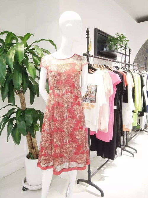 慧蘭女裝 優雅風尚，演繹東方女性的獨特魅力